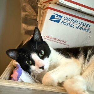 Meet your Posher, Stephanie